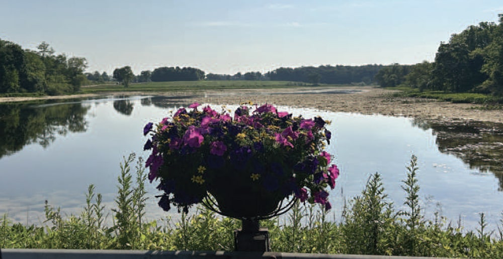 the mill pond