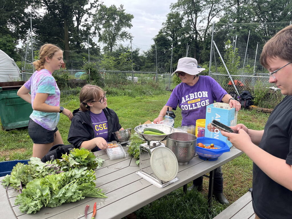 Garden helpers gather around the Albion Community Gardens’ produce stand, where fresh-picked greens are set out for the public each Monday, Wednesday, and Friday morning. The food is free, and updates are shared on social media. From the left, Trisha Franzen, Emma Kastl, Ana Metz, Maddie Crosby, Dahalia Aguilar and Bonnie Lord.