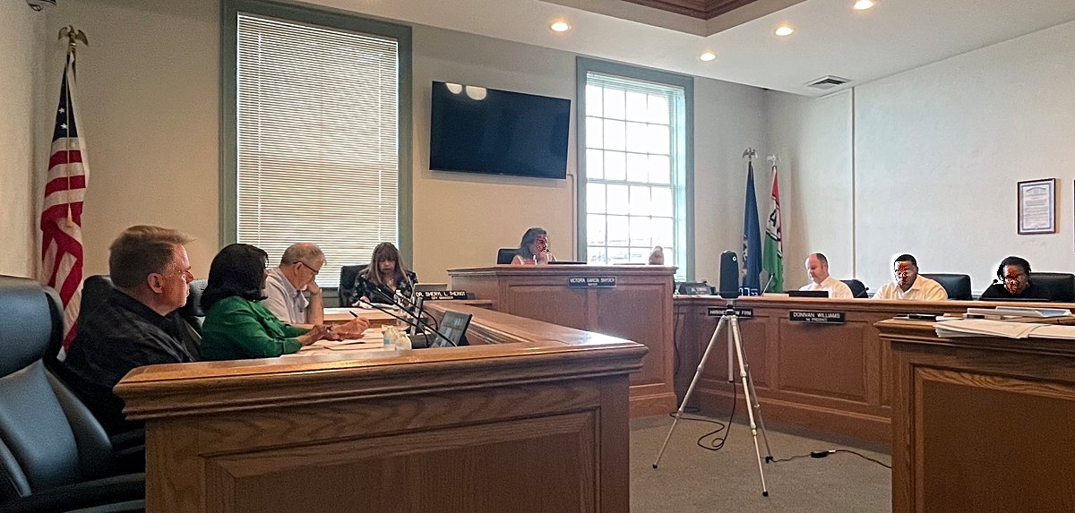 Albion City Council